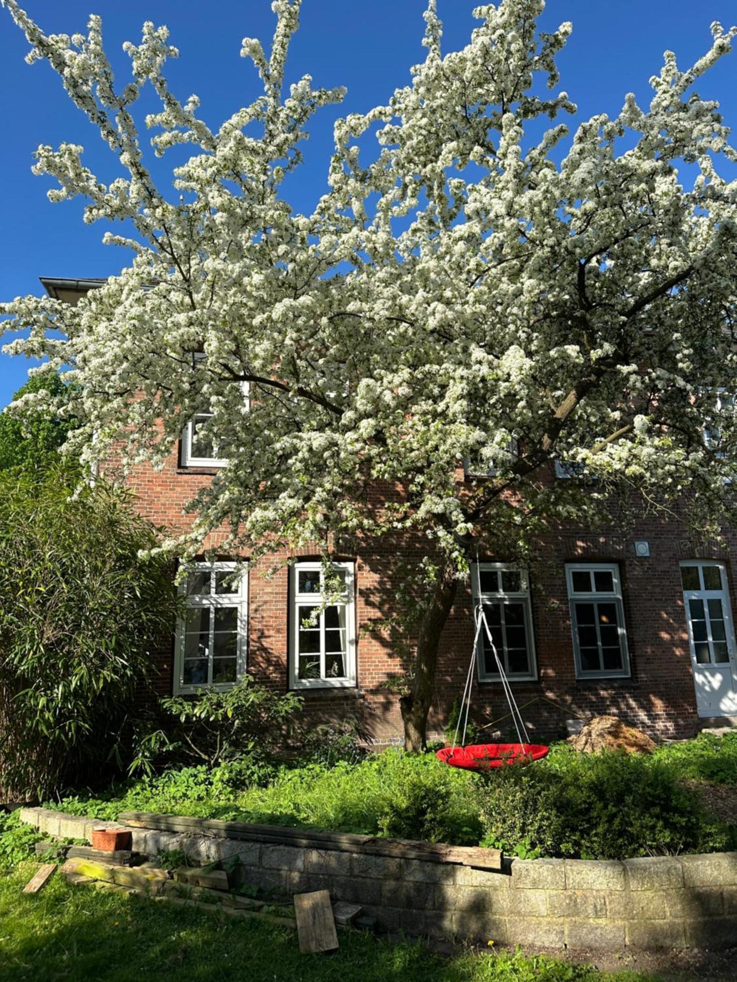 Altes Pastorat Bed & Breakfast Barmstedt Exterior photo